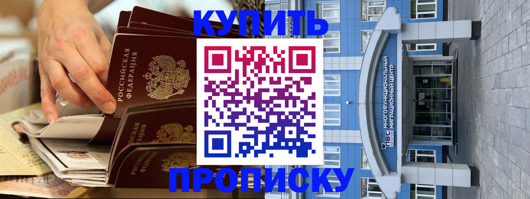 прописка гарантия в Вольске